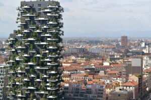 Scopri di più sull'articolo CONVEGNO: stabilizzazione dei versanti e controllo erosione superficiale